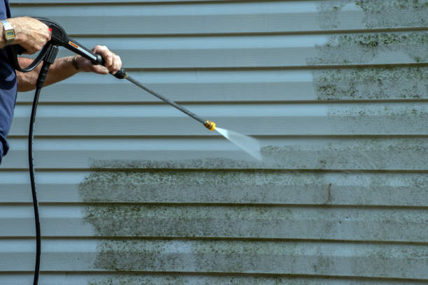 Best Fence Cleaning  in Marine City, MI